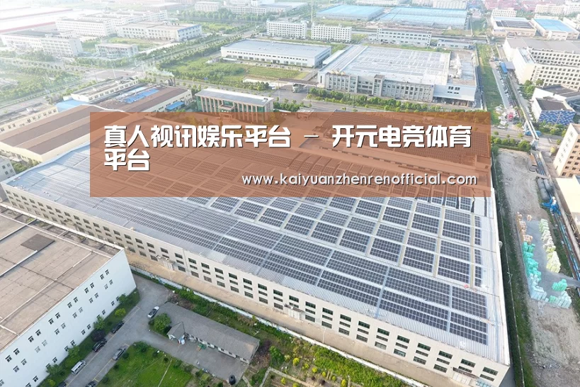 案例展示二
