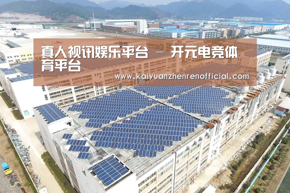 案例展示一