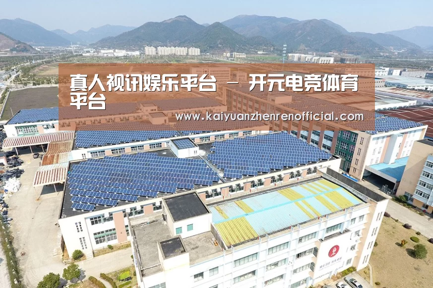 案例展示二