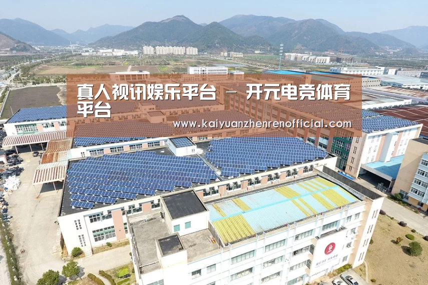 案例展示四