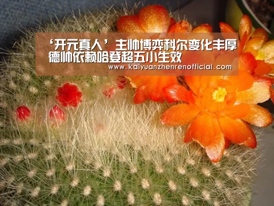 ‘开元真人’主帅博弈科尔变化丰厚 德帅依赖哈登超五小生效(图2) 开元体育